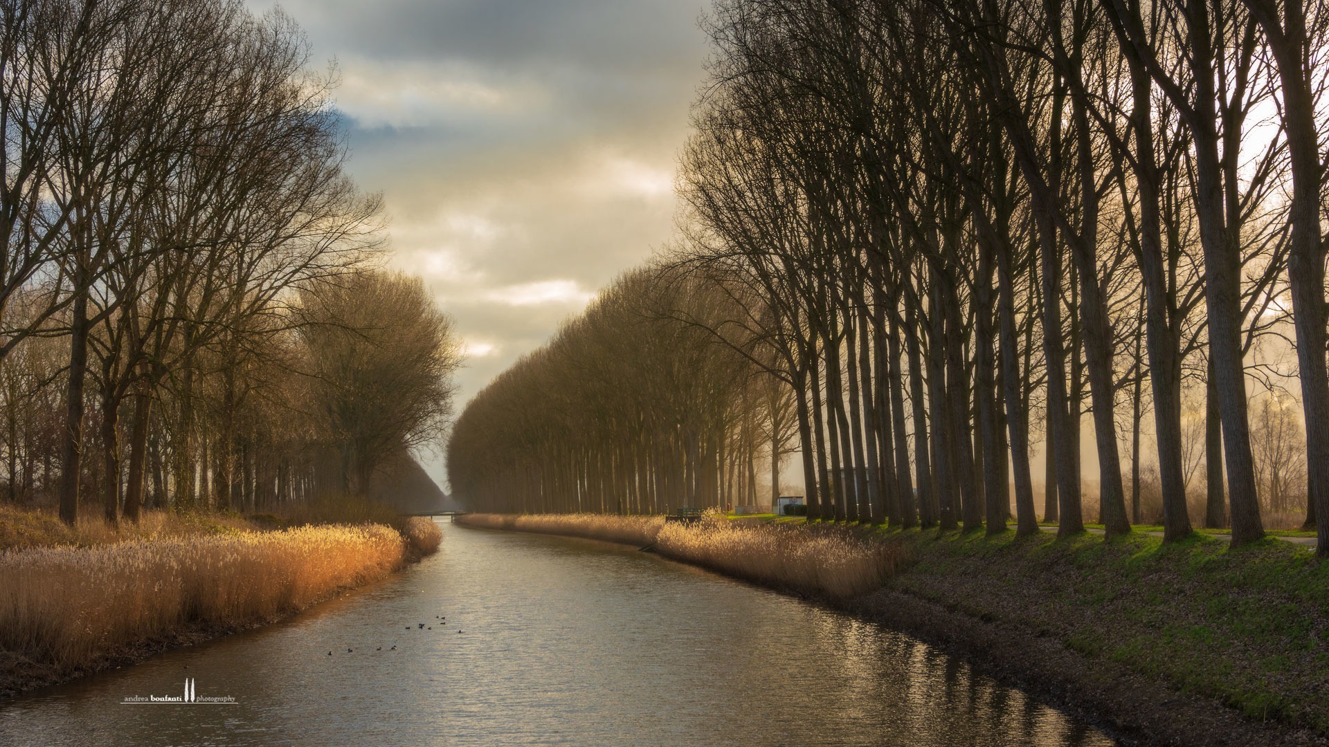 damme belgium damme belgium