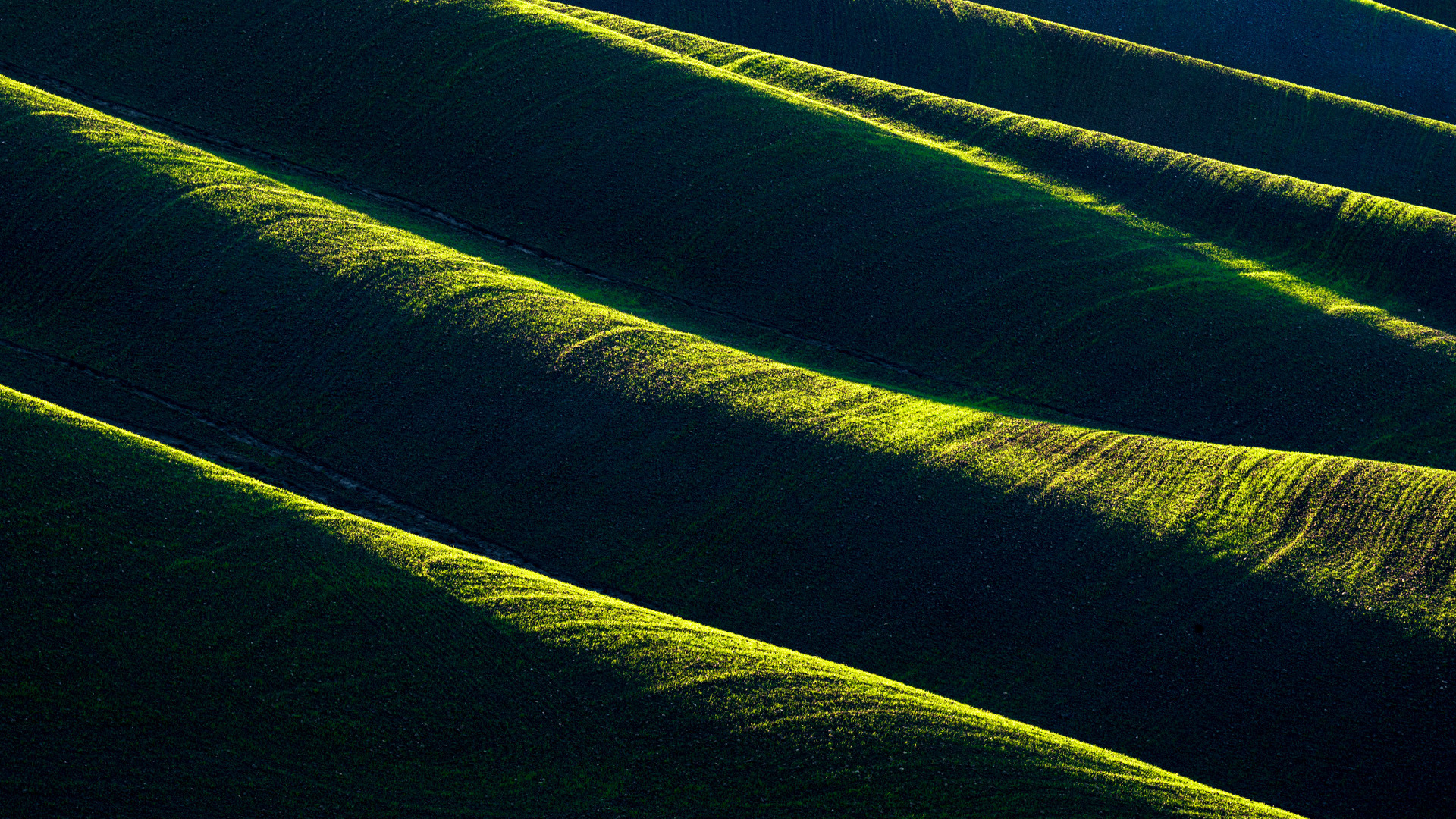 forme di calanchi nelle crete senesi forme di calanchi nelle crete senesi