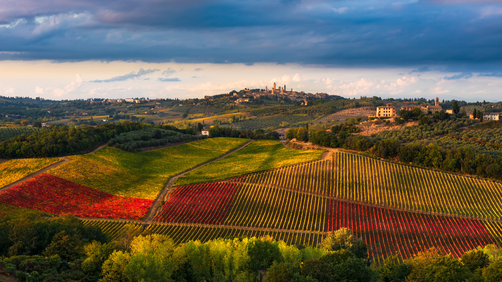san gimignano dalle vigne di montauto san gimignano dalle vigne di montauto