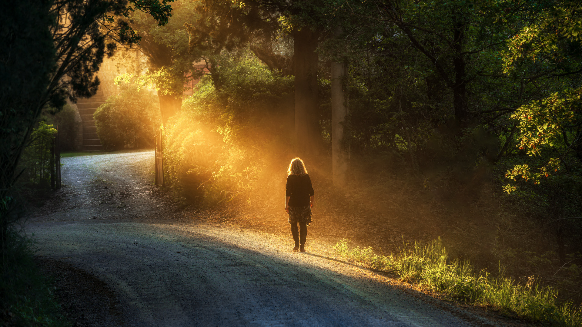 a country road with light beams a country road with light beams