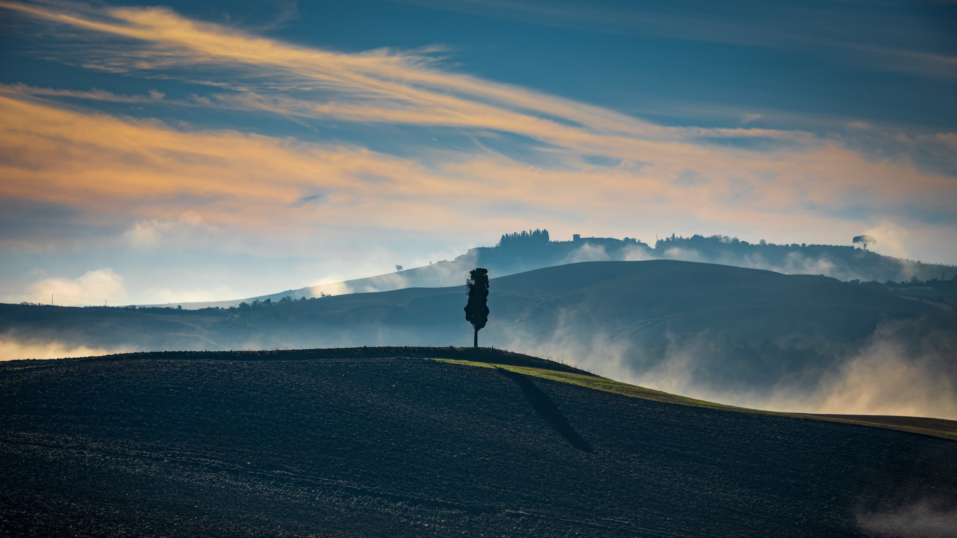 cipresso solo e nebbie che si alzano cipresso solo e nebbie che si alzano